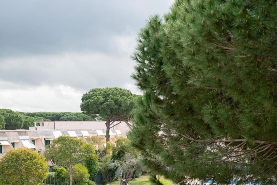 La Casina Di Principina Sea, AC E Nature Apartment in Principina a Mare