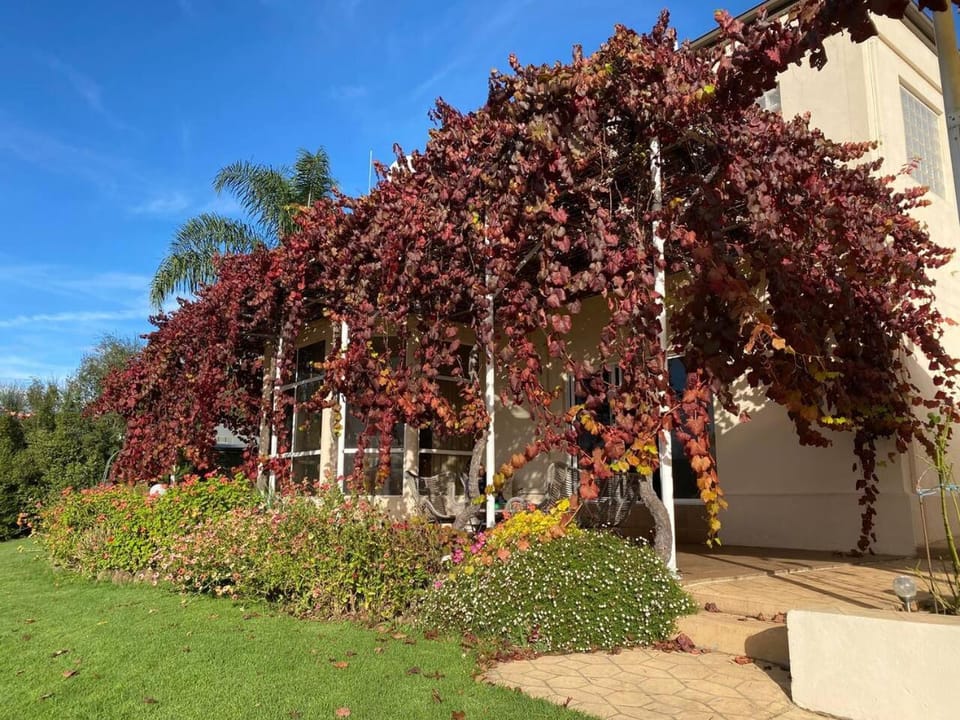 Luxe Buffalo River Retreat - Heated Pool, Spa. House in Myrtleford