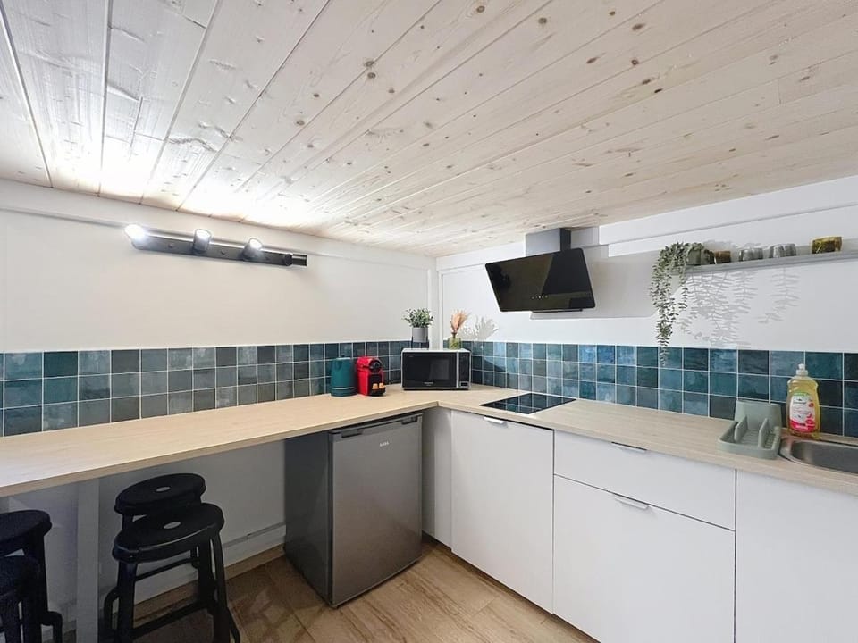Canut de l'Opera Apartment in Lyon