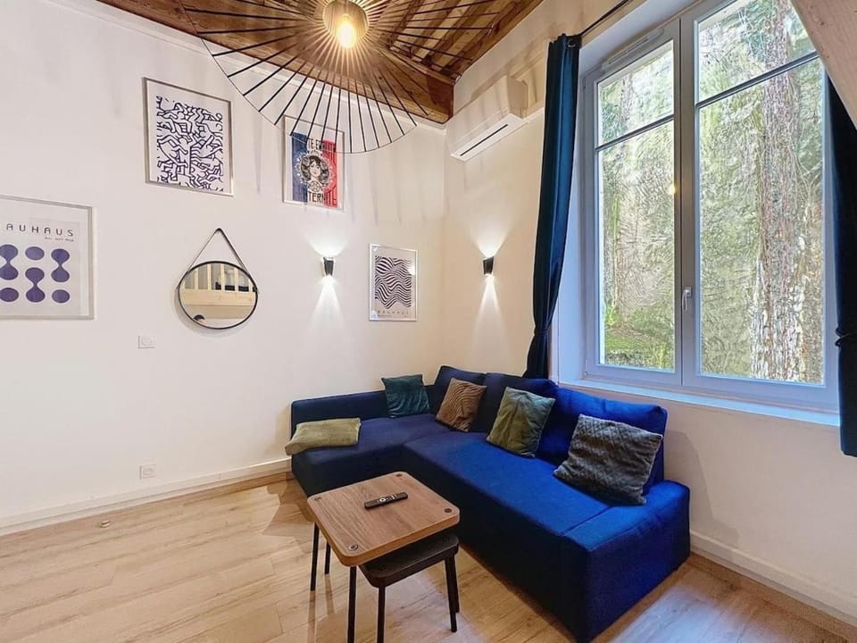 Canut de l'Opera Apartment in Lyon