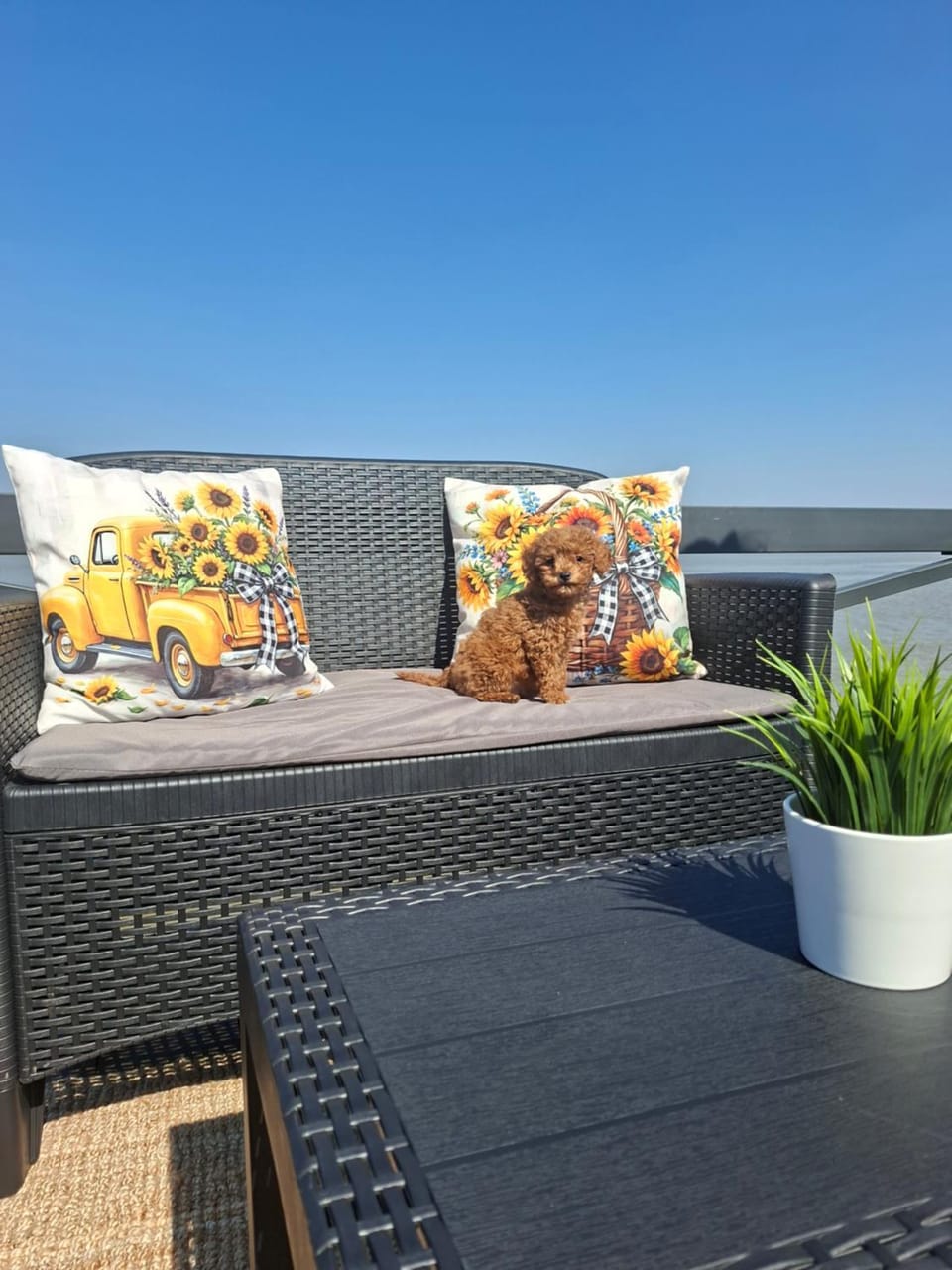 View (from property/room), Balcony/Terrace