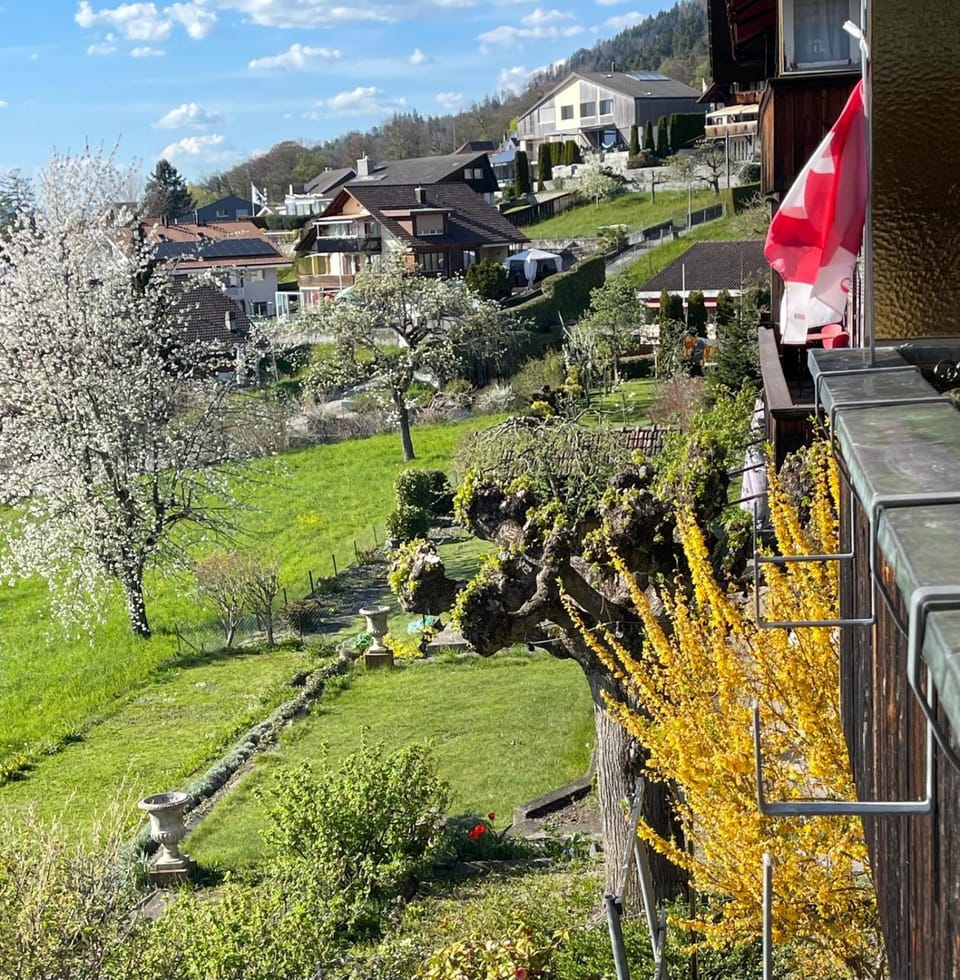 Garden, Garden view