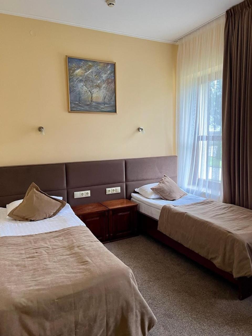 Bed, Photo of the whole room