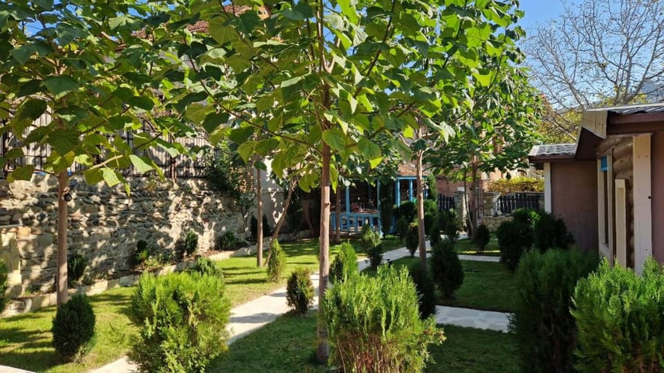 Property building, Garden, Garden view