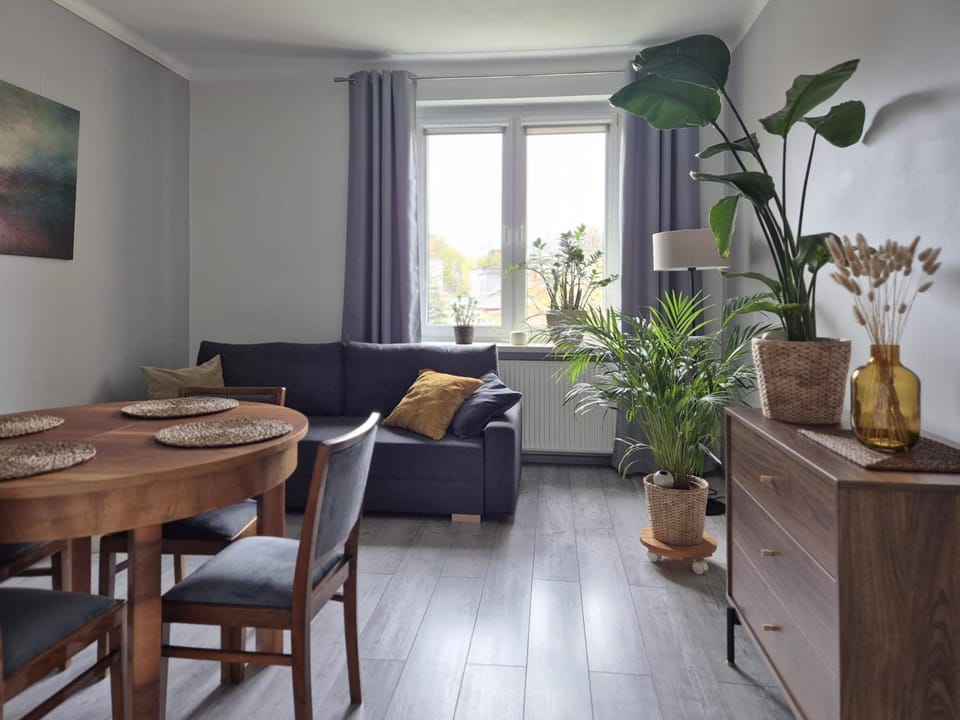 TV and multimedia, Living room, internet