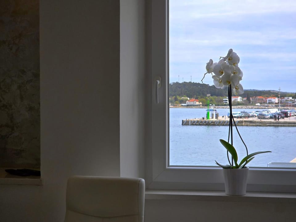 Decorative detail, Sea view