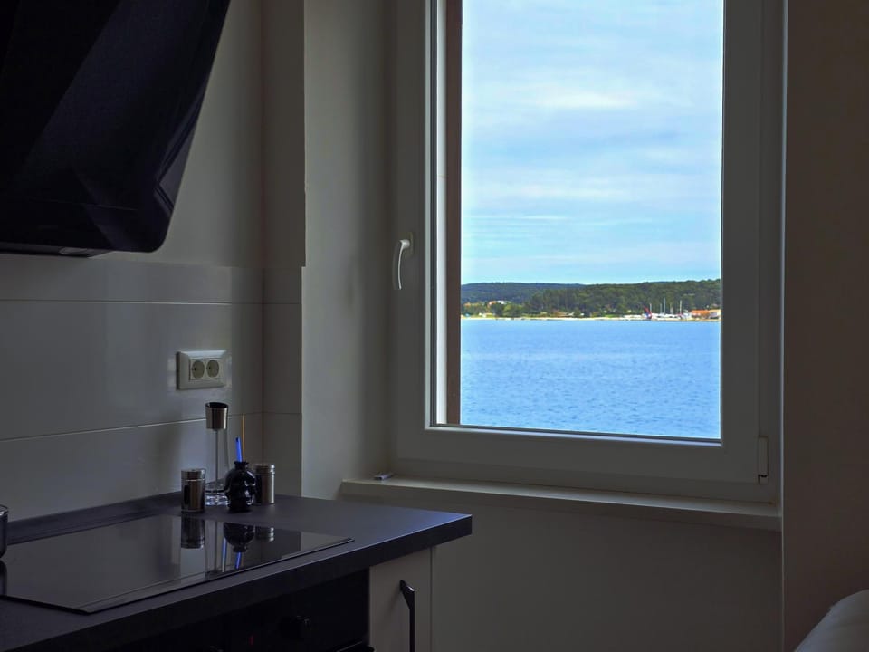 Natural landscape, Kitchen or kitchenette, Sea view