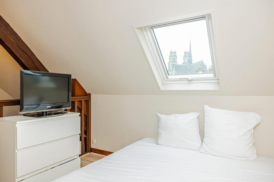 L'ormetin - Jolie Duplex au cœur Orléans Apartment in Orléans