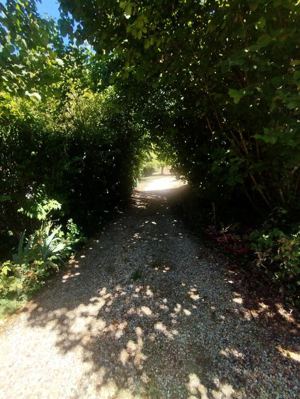 Natural landscape