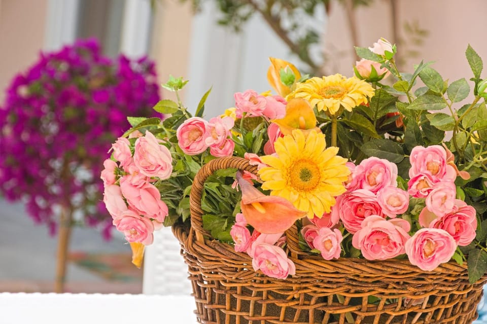 Spring