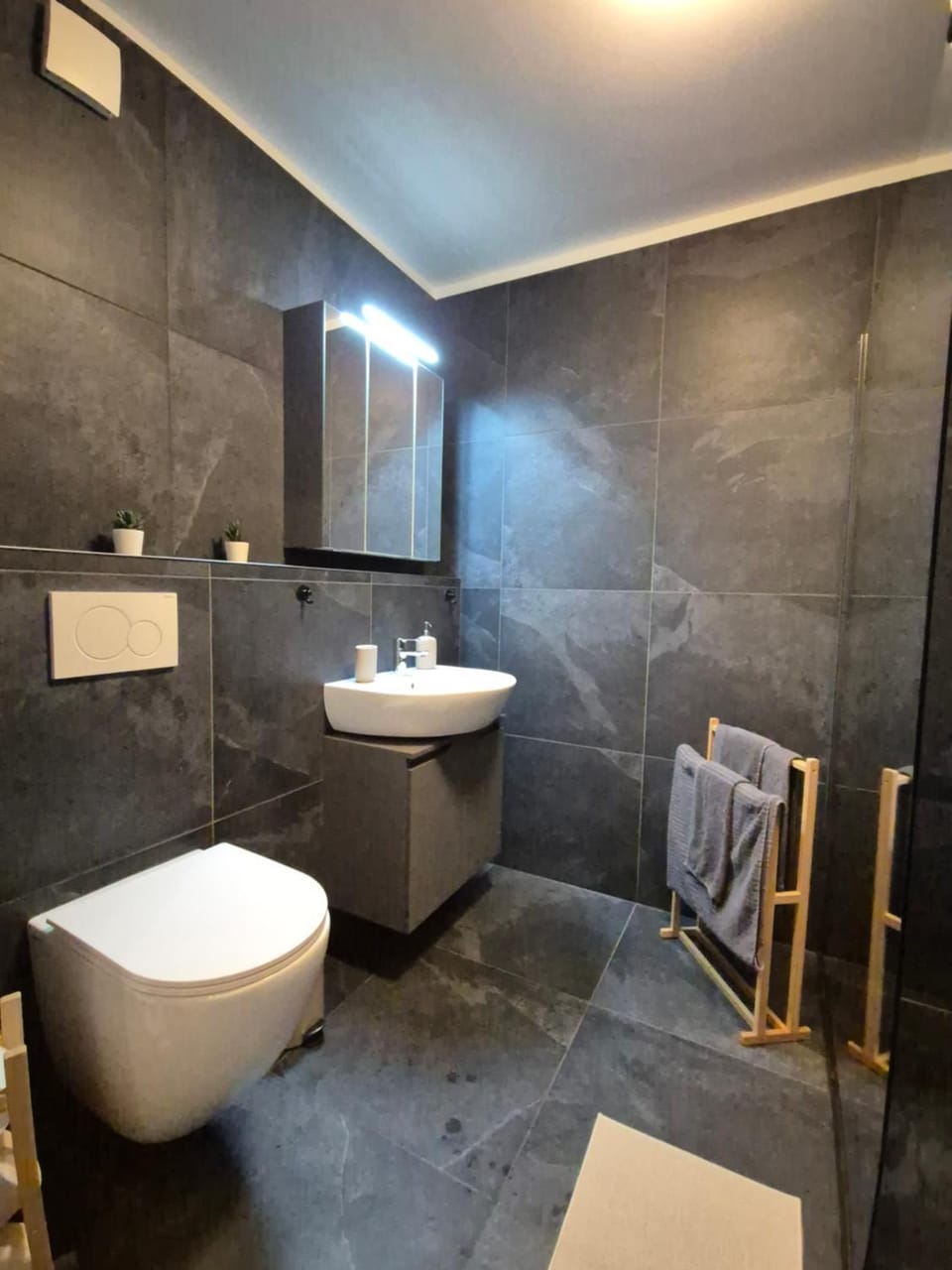 Newly Renovated Elegant Studio next to Messe Apartment in Basel