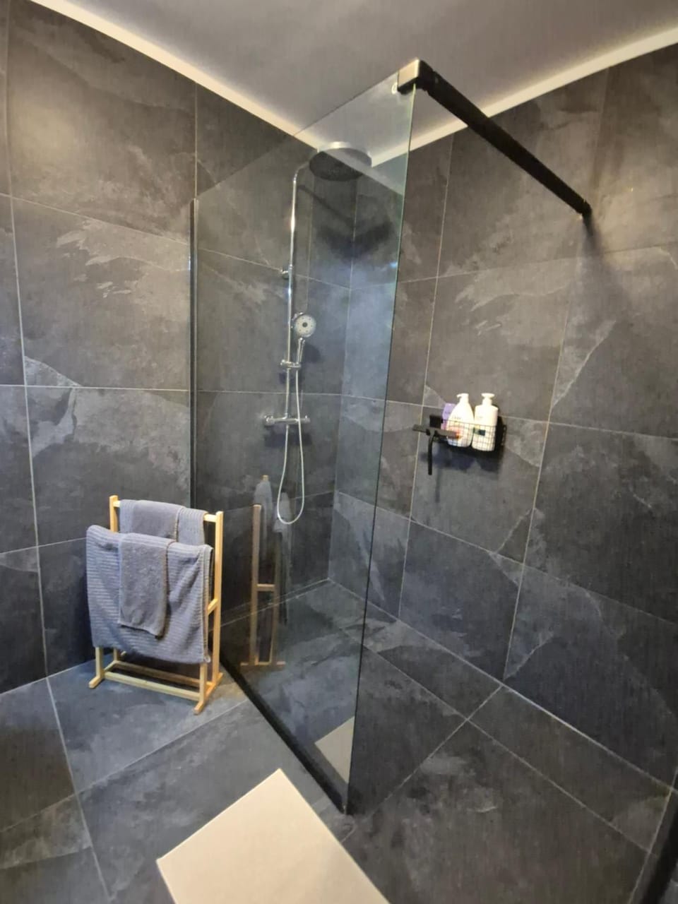 Newly Renovated Elegant Studio next to Messe Apartment in Basel