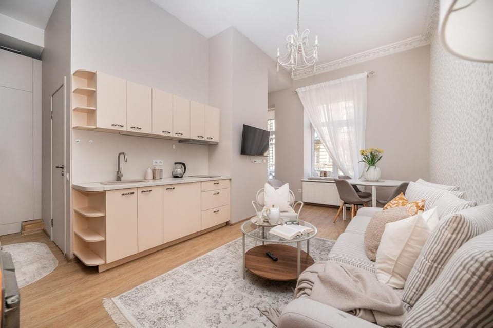 Authenticity and coziness fireplace, balcony, station Apartment in Vilnius
