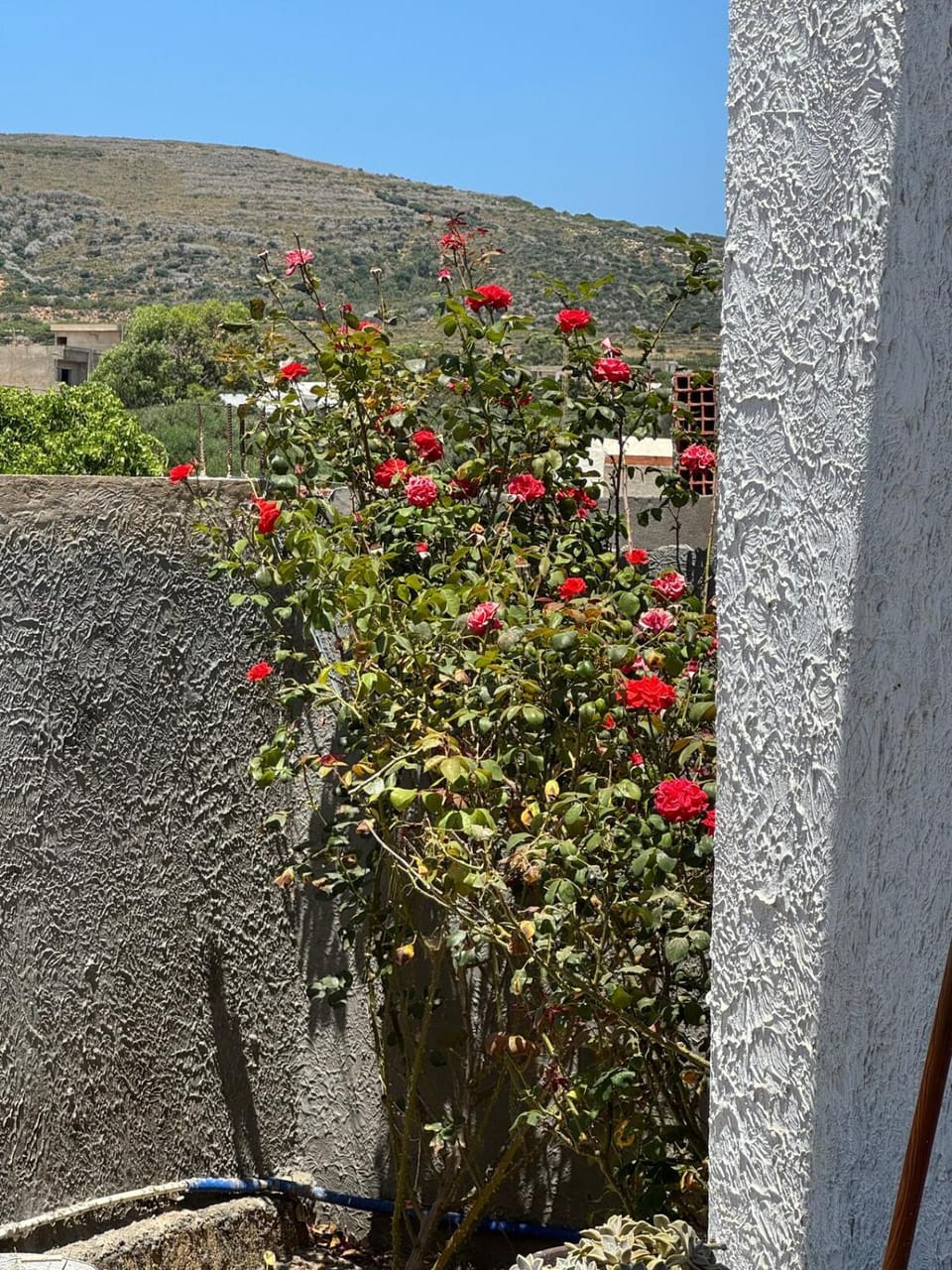 Dar Lagoulette Lounge El Haouaria House in Tunisia