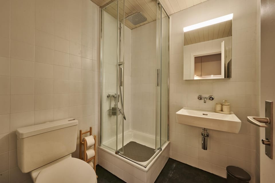 Shower, Toilet, Bathroom, towels