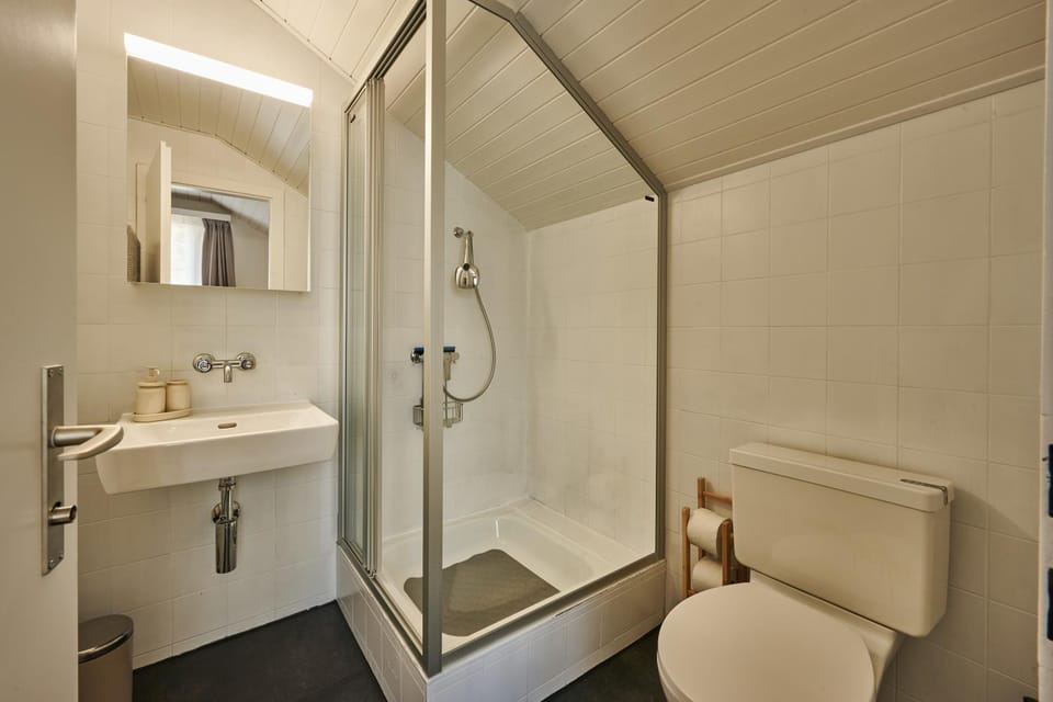 Shower, Toilet, Bathroom, towels