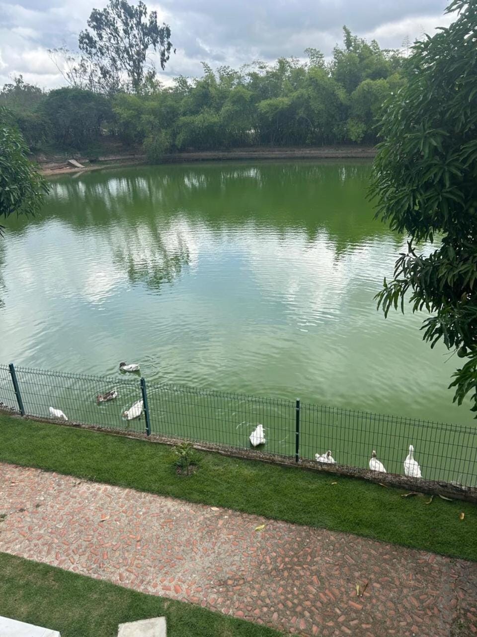 Lake view
