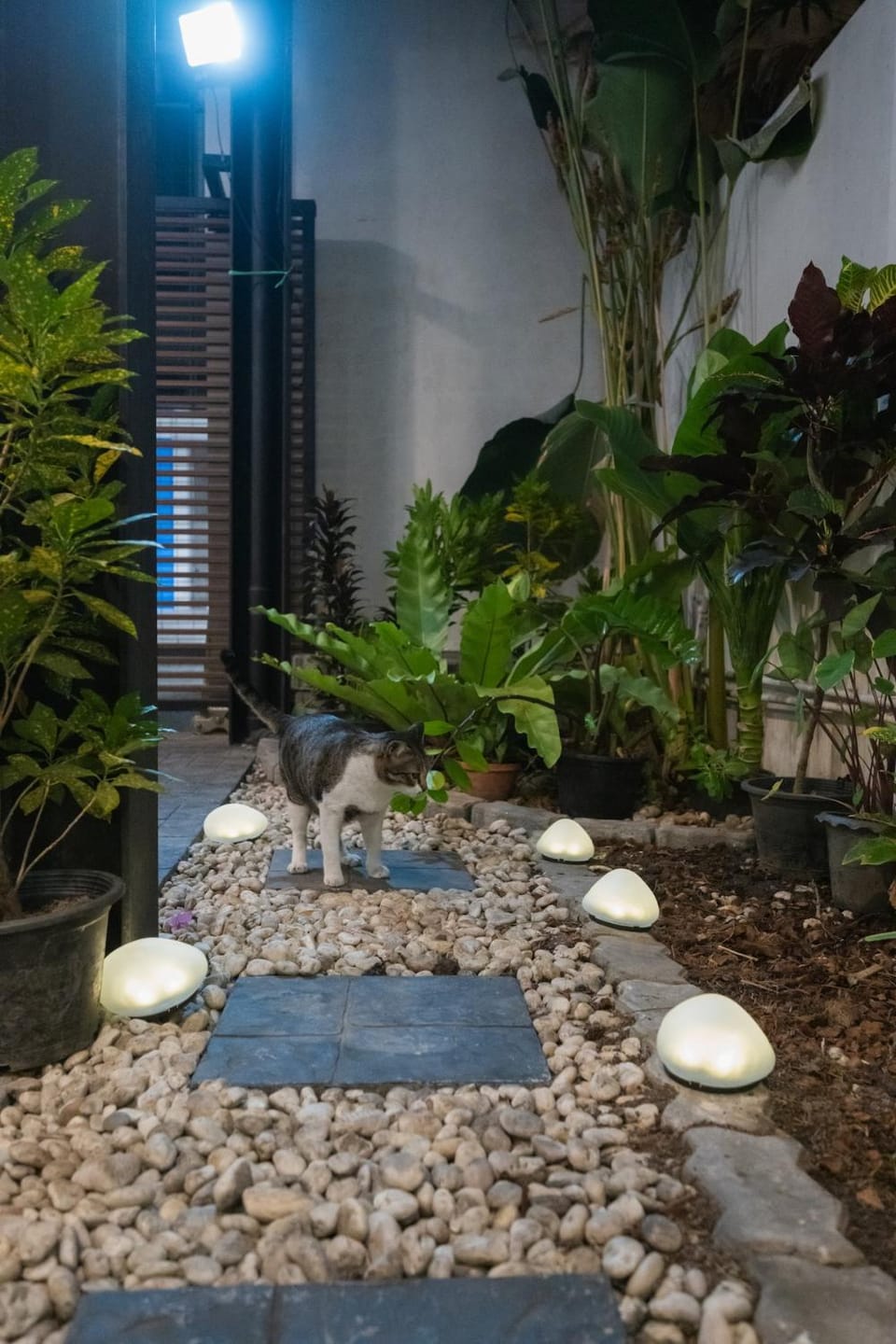 Haus 54 I luxury 3br house Villa in Bangkok