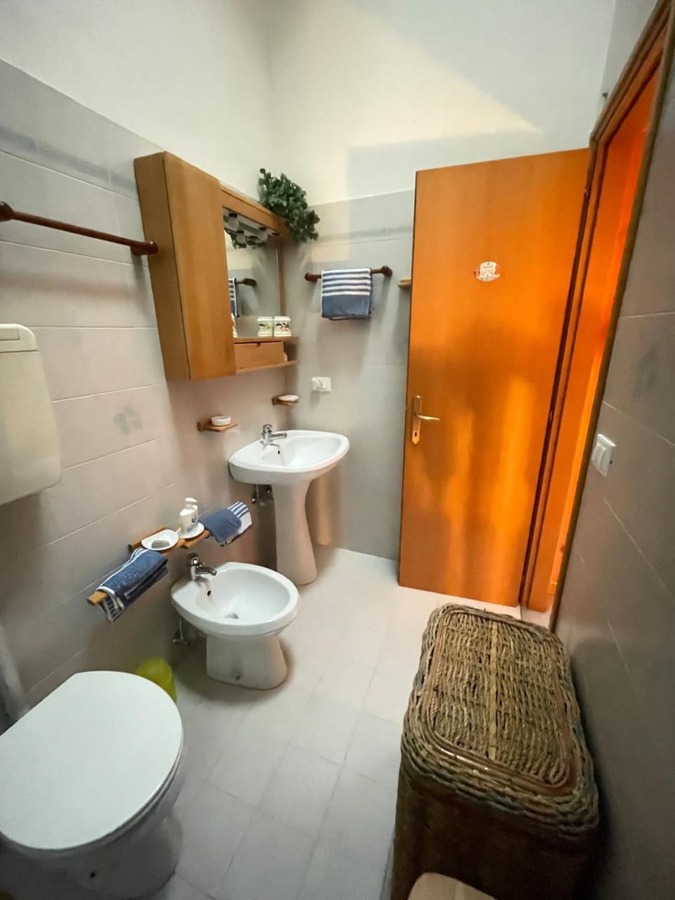 Shower, Bathroom, bidet, hair dryier, towels, washing machine