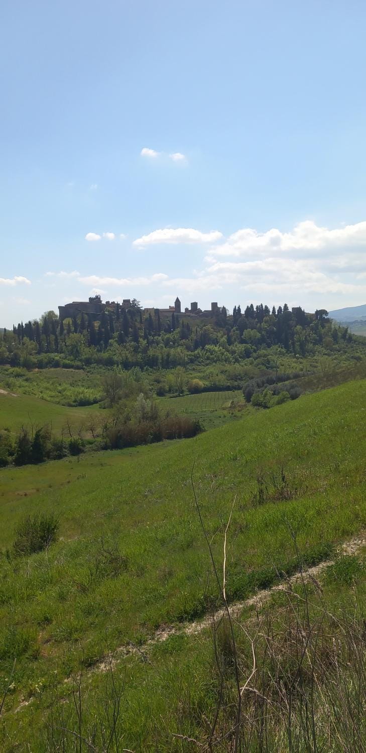 Natural landscape
