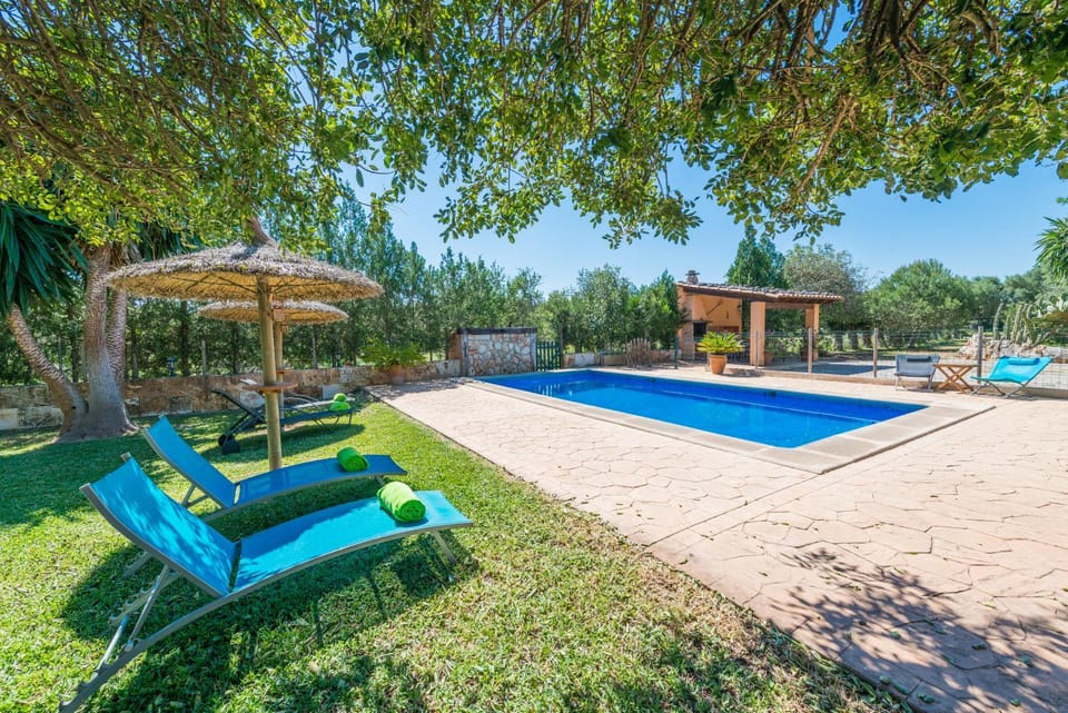 Garden, Swimming pool