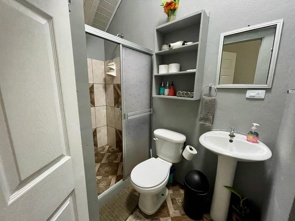 Shower, Toilet, Bathroom, towels