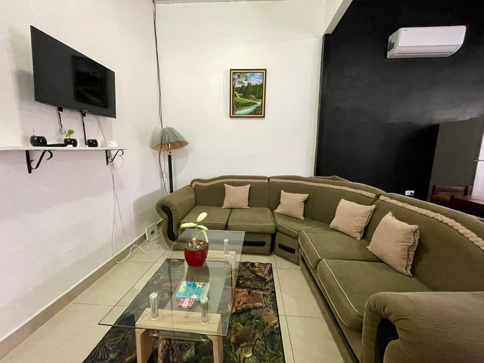 TV and multimedia, Living room, Seating area, air conditioner