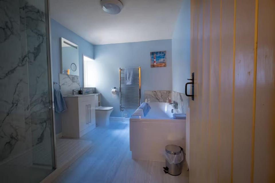 Toilet, Bathroom, View (from property/room), Photo of the whole room, Decorative detail