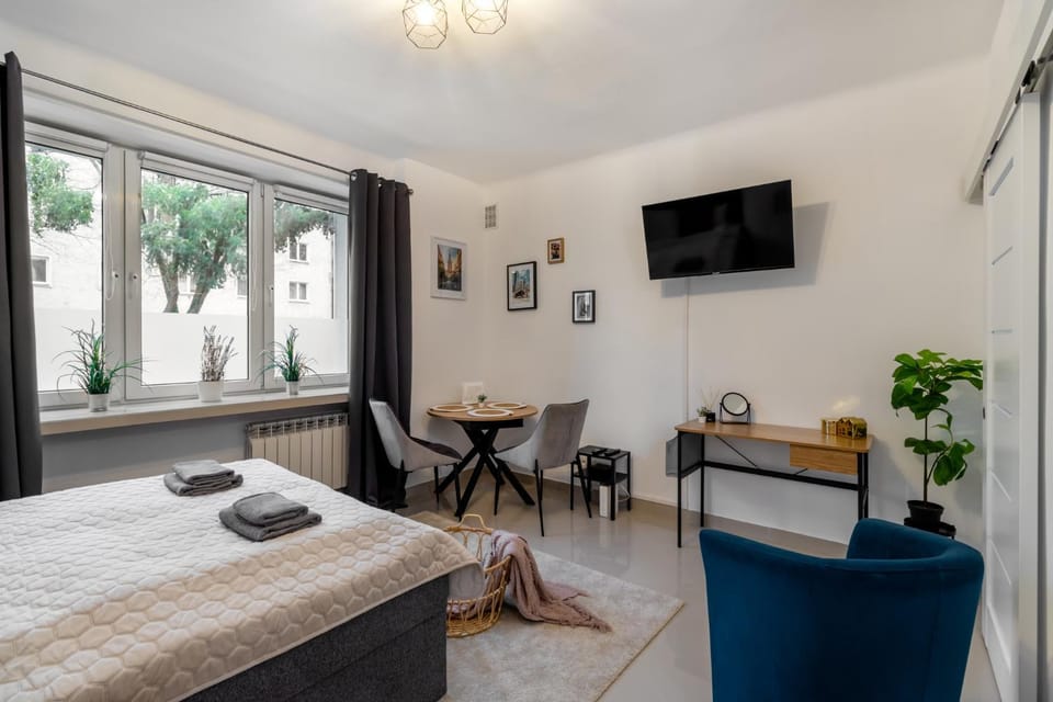Bed, TV and multimedia, Living room, Photo of the whole room, Seating area, Dining area, Bedroom, hair dresser, towels, air conditioner