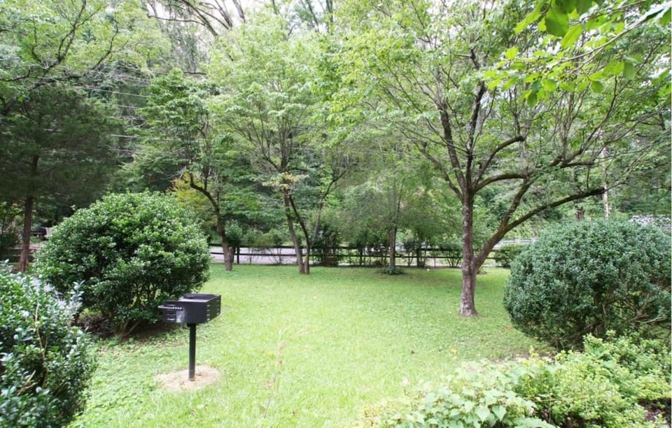 Kingfisher- River Frontage Property House in Gatlinburg