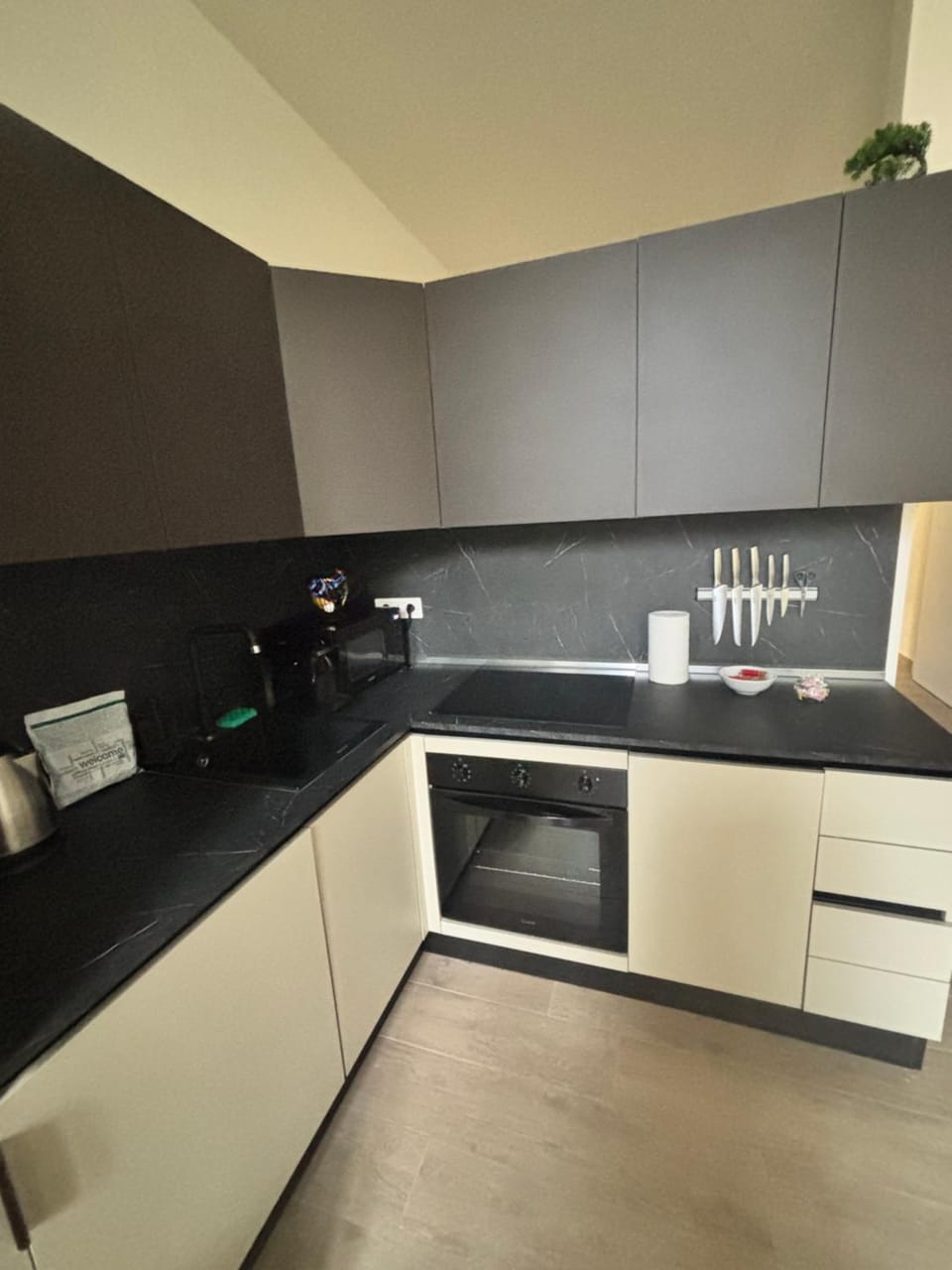 Coffee/tea facilities, Kitchen or kitchenette, dishwasher, stove