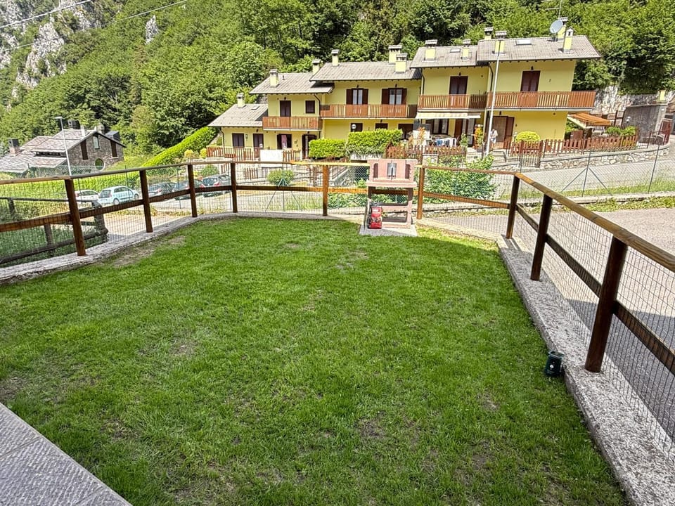 Spring, Garden, Garden view
