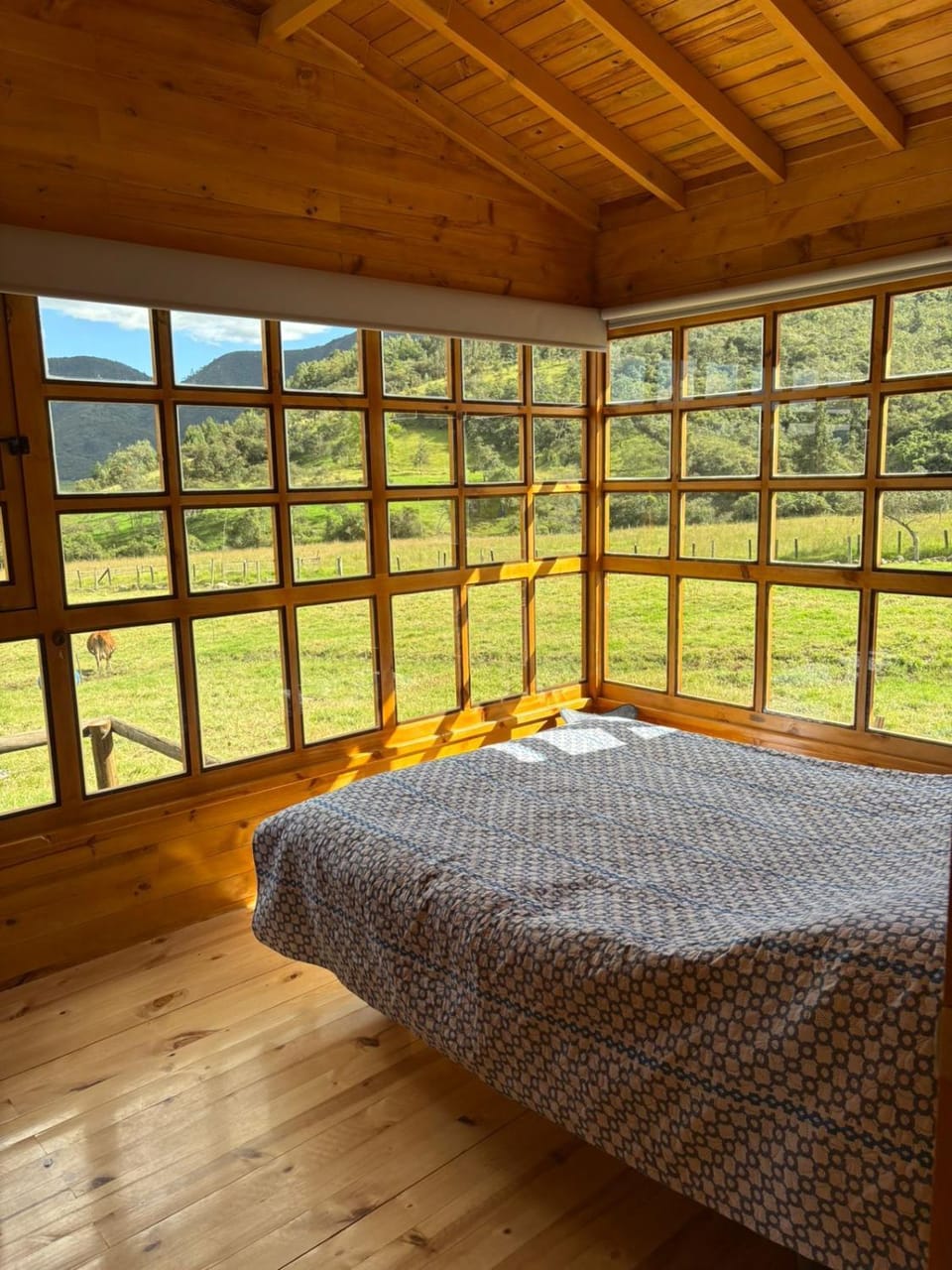 Bed, Mountain view