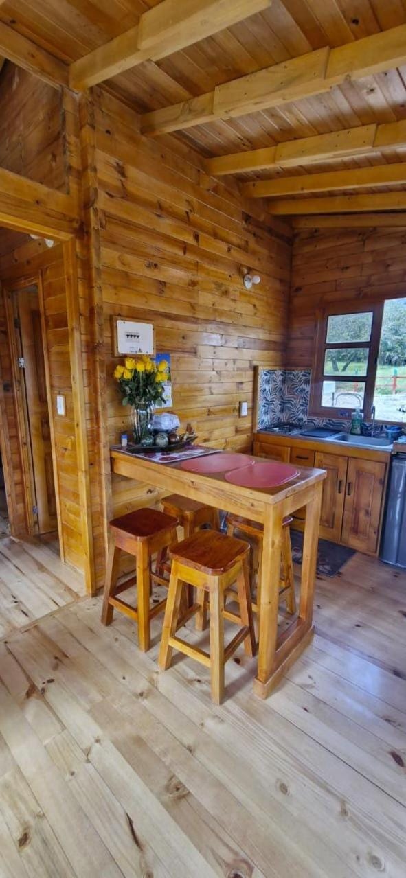Kitchen or kitchenette, Dining area, kitchen