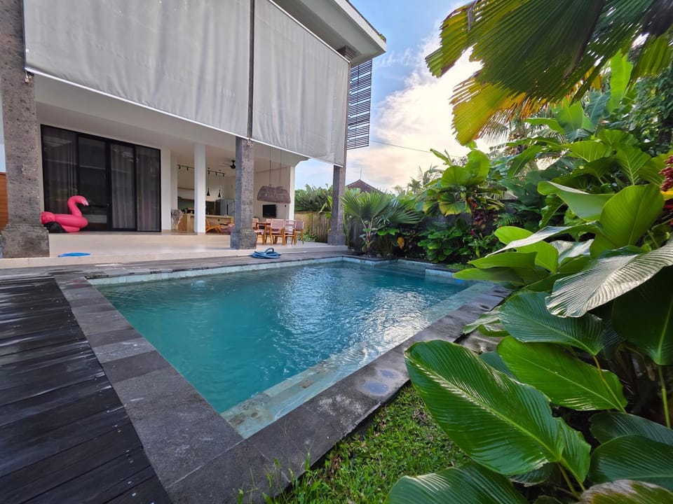 Property building, Patio, Day, Garden, Garden view, Pool view, Swimming pool, Swimming pool, sunbed