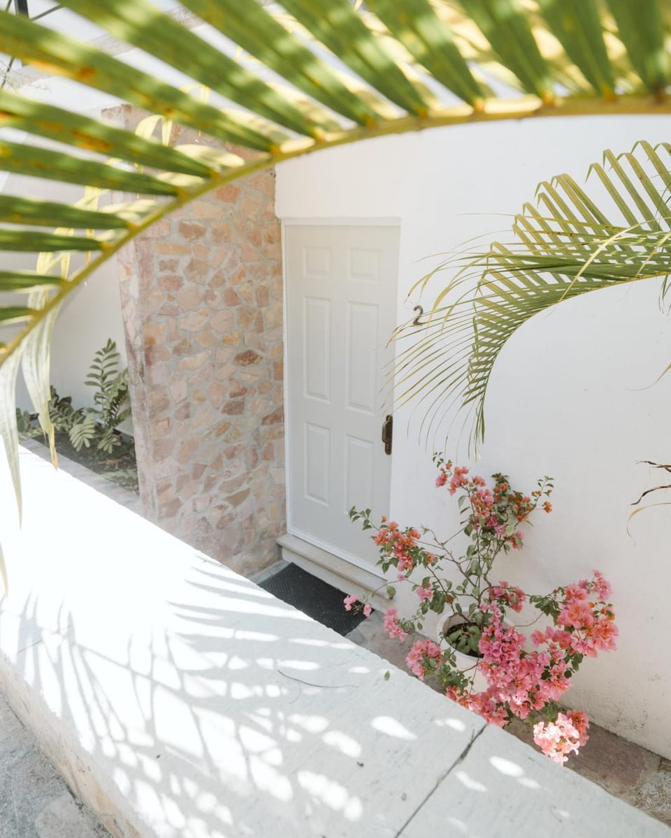 Facade/entrance, Spring, Day, Garden