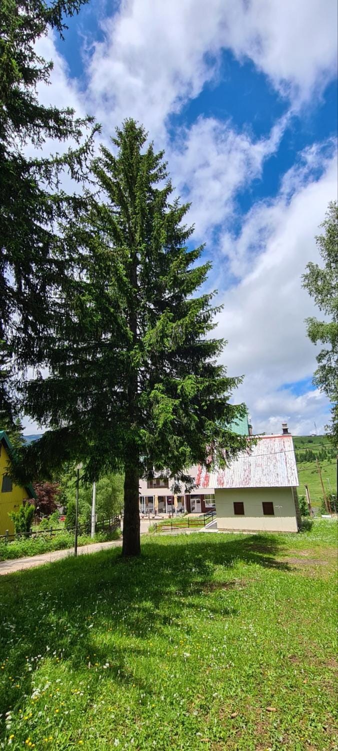 Holiday Home Stevas House in Montenegro