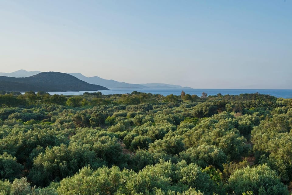 Natural landscape