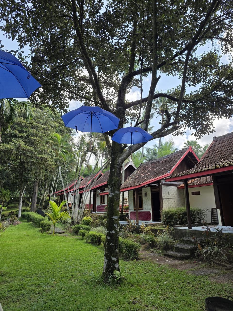Desa Wisata Osing Kemiren Ijen Bed and Breakfast in East Java
