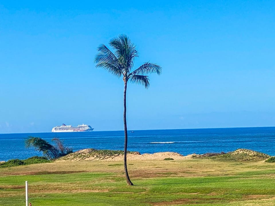 Kauhale Makai #330 Oceanfront, Pool, Hot tub, A/C, Wi-Fi, Stunning Sunsets Apartment in Kihei