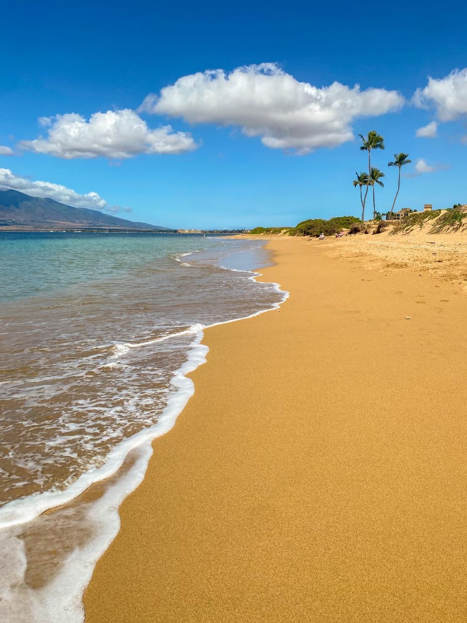 Kauhale Makai #330 Oceanfront, Pool, Hot tub, A/C, Wi-Fi, Stunning Sunsets Apartment in Kihei
