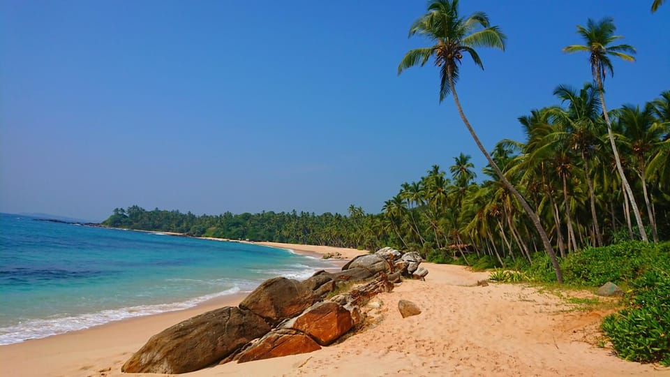 Ranith Villa Bed and Breakfast in Tangalle