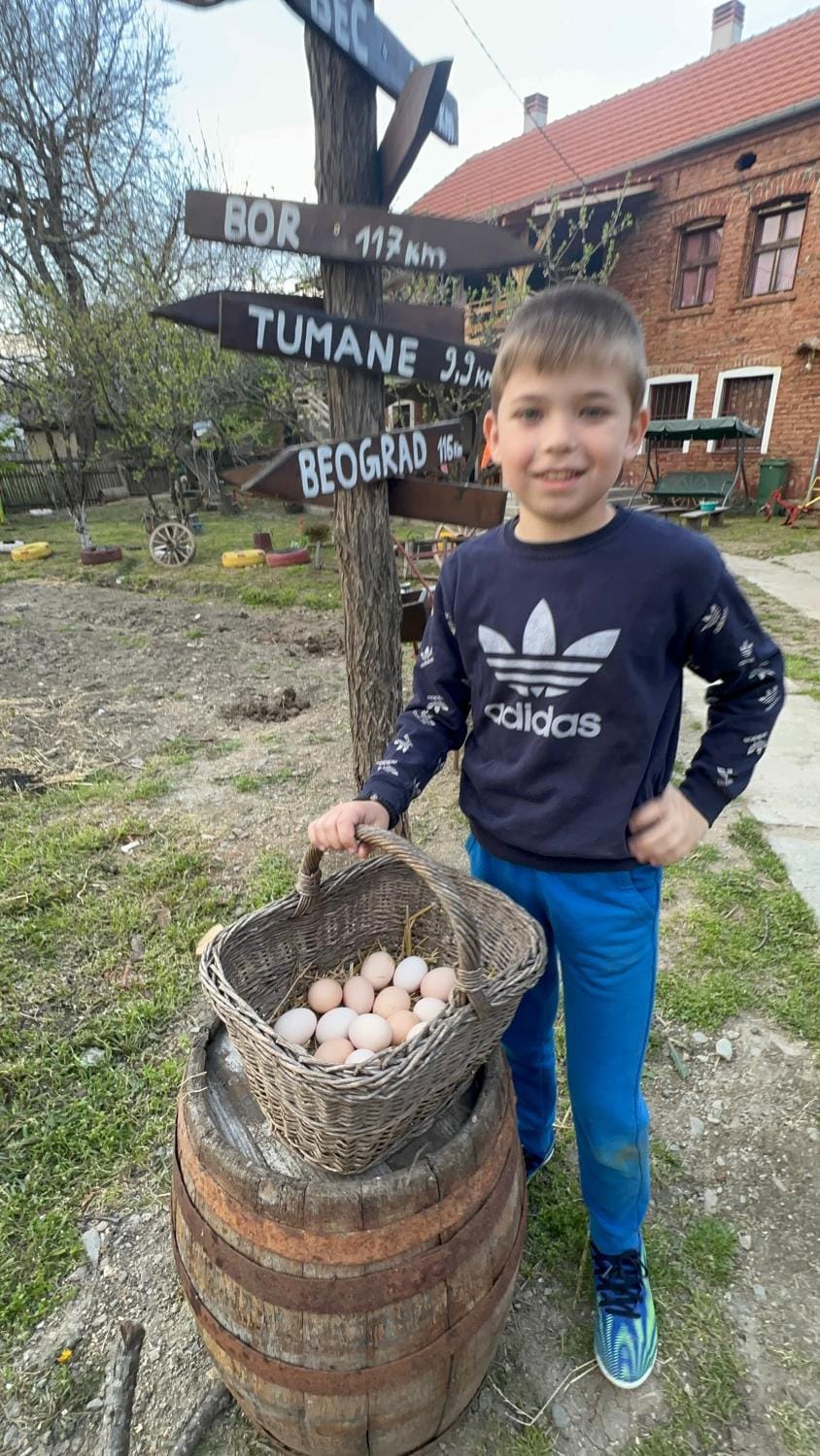 Seosko domaćinstvo Kod Fraćeta Farm Stay in Serbia
