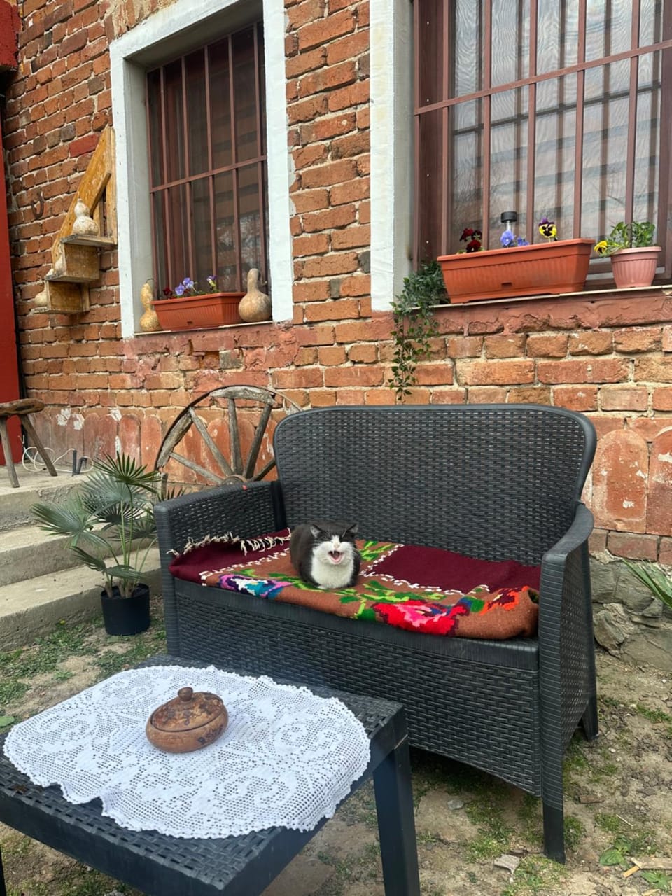 Seosko domaćinstvo Kod Fraćeta Farm Stay in Serbia