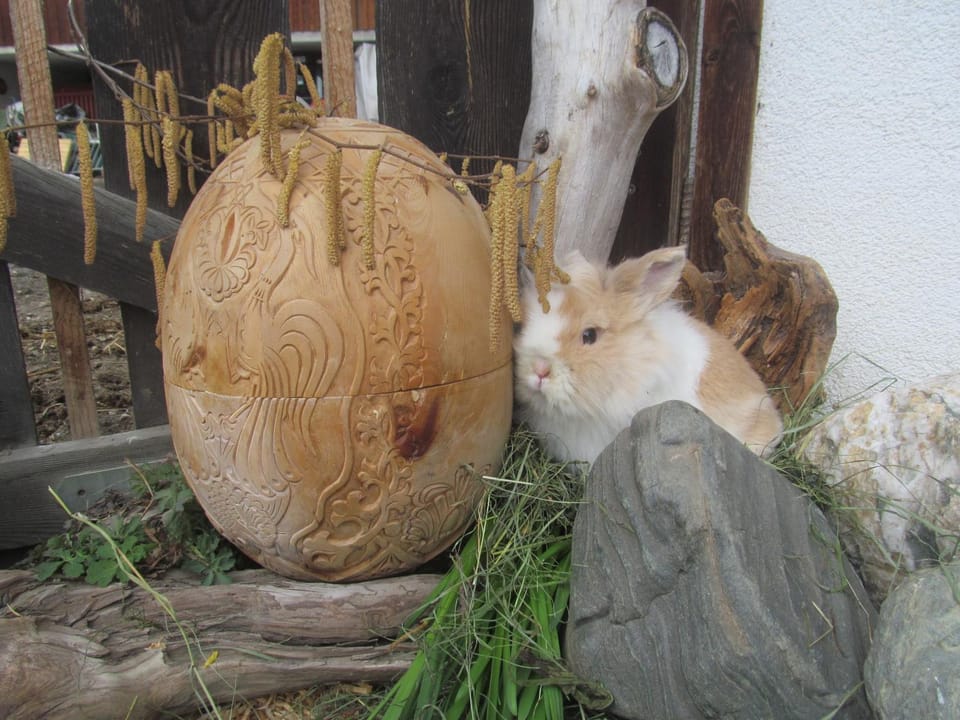 Klampererhof Farm Stay in Salzburgerland