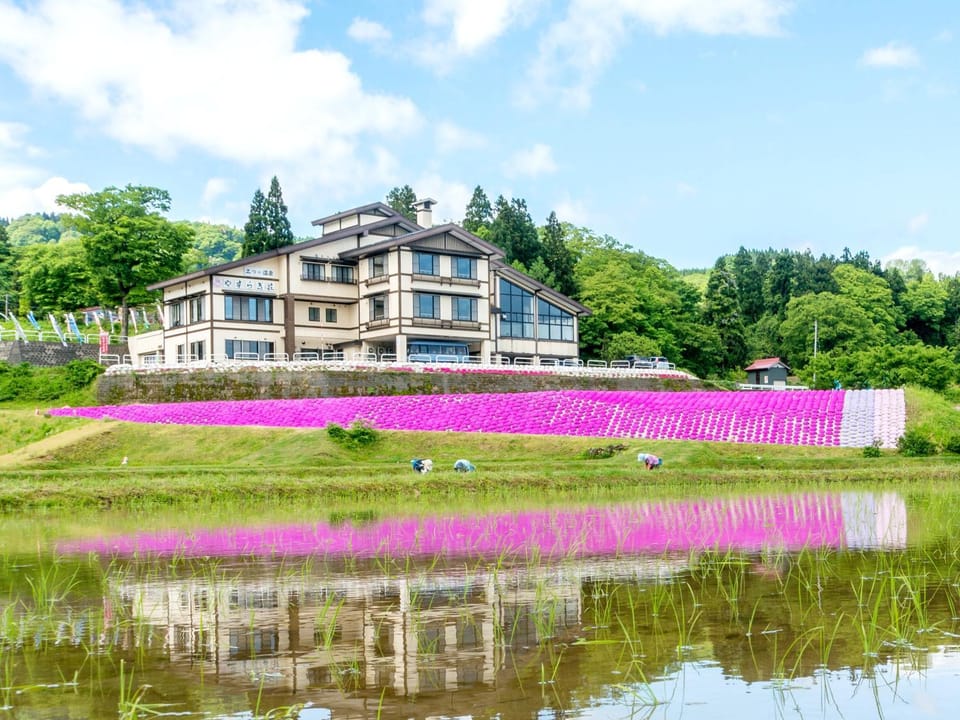 Property building, Day, Natural landscape, Garden