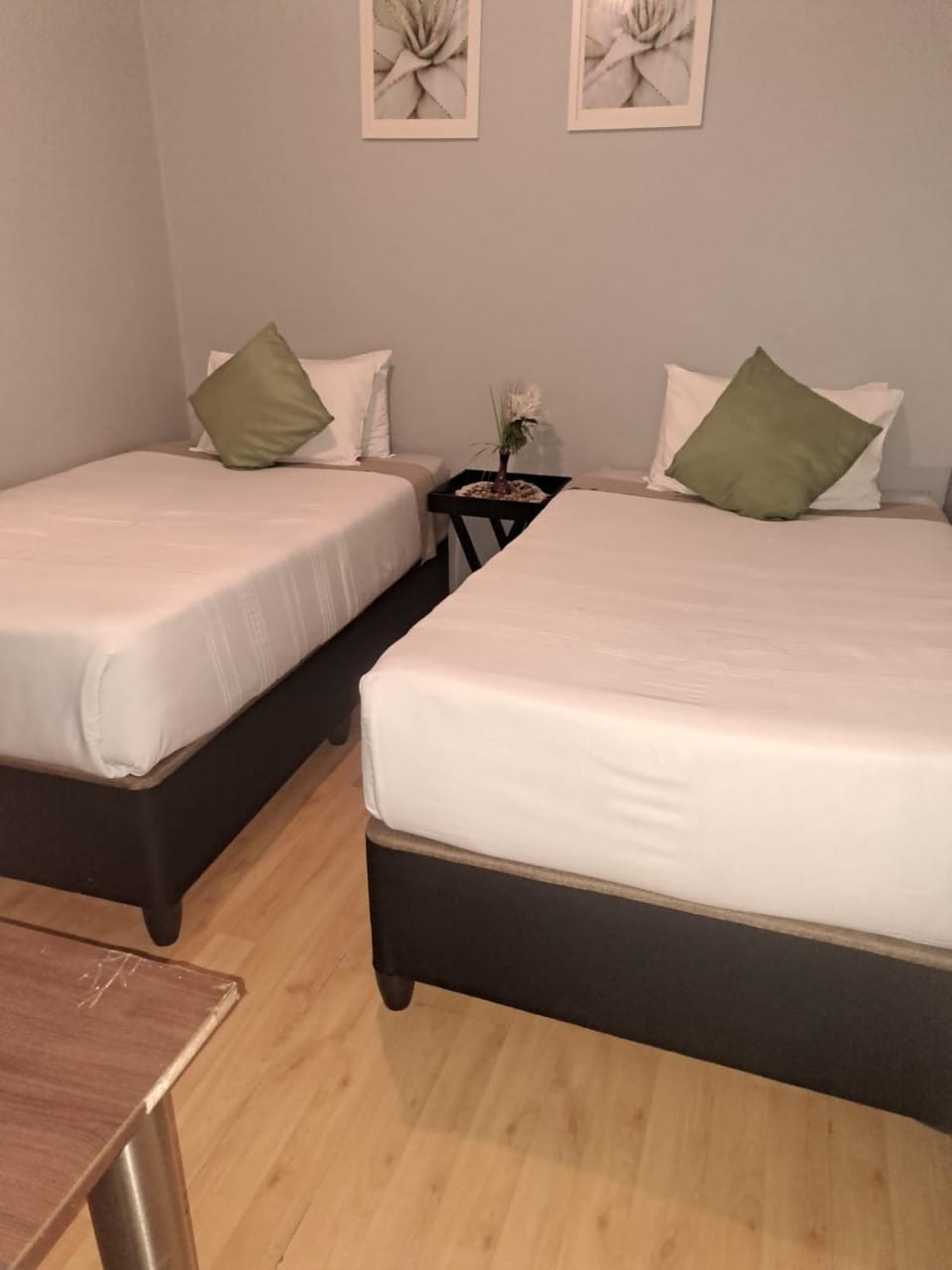 Bed