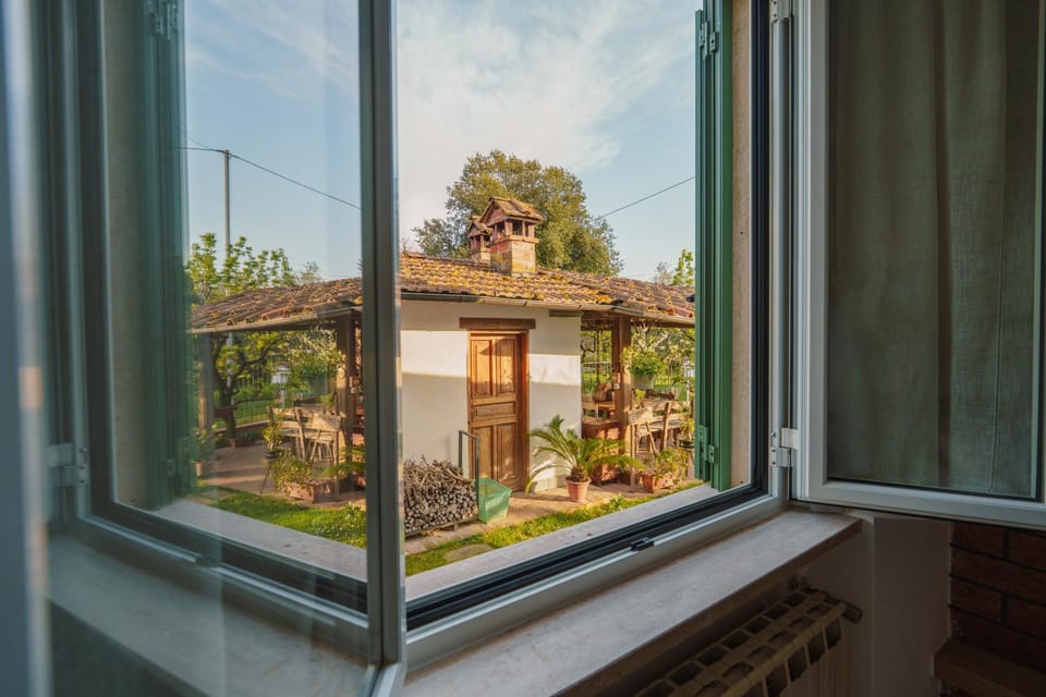 Day, Garden, Garden view