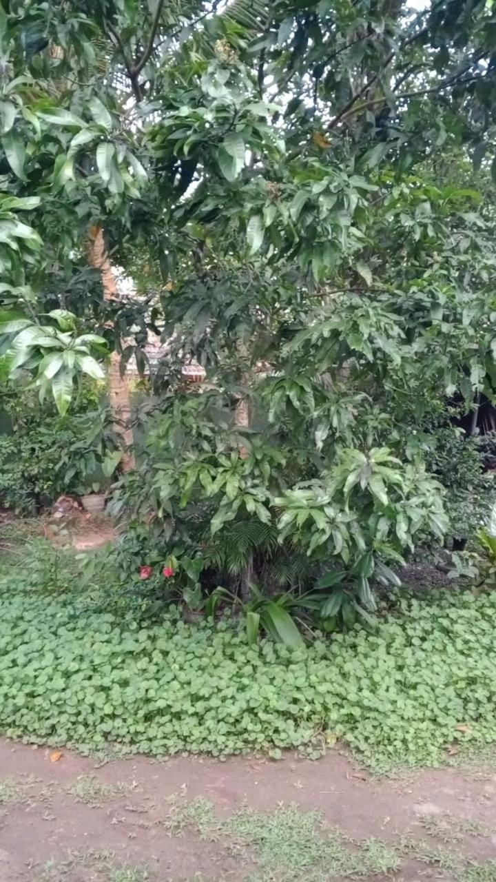 Serene Eco Villas Bed and Breakfast in Southern Province