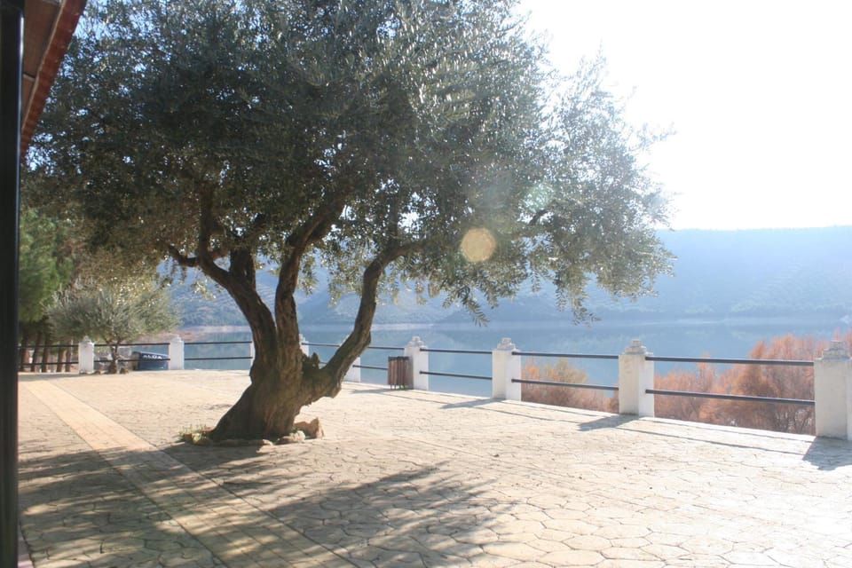 View (from property/room), Lake view